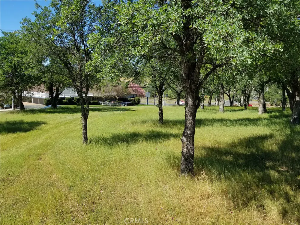 Olive Hwy Oroville, CA 95966