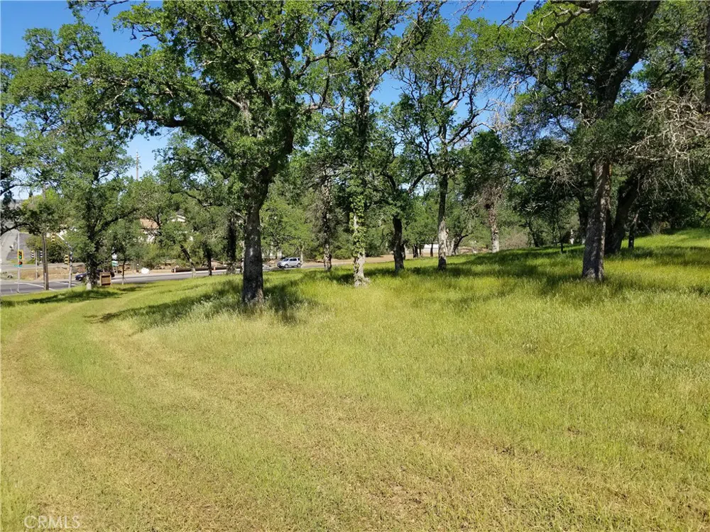Olive Hwy Oroville, CA 95966