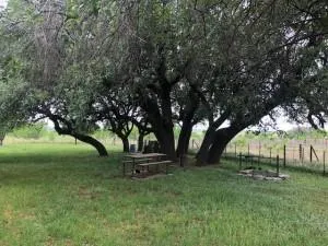 2232 Private Road 4032 Road Eden, TX 76837