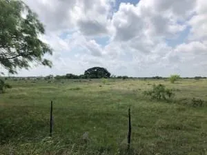 2232 Private Road 4032 Road Eden, TX 76837