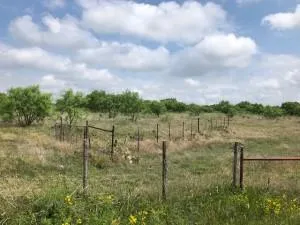 2232 Private Road 4032 Road Eden, TX 76837