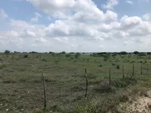 2232 Private Road 4032 Road Eden, TX 76837