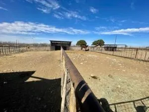 2232 Private Road 4032 Road Eden, TX 76837
