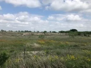 2232 Private Road 4032 Road Eden, TX 76837