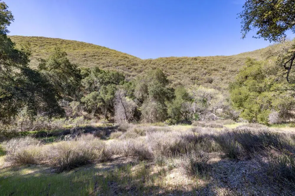 43515 Carmel Valley Road Greenfield, CA 93927