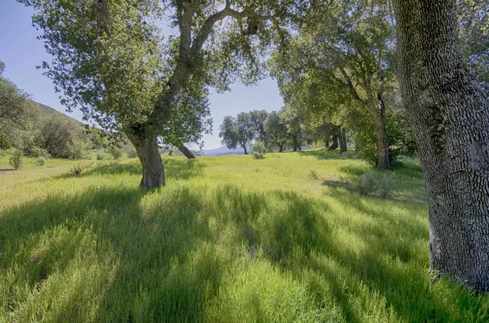 43515 Carmel Valley Road Greenfield, CA 93927