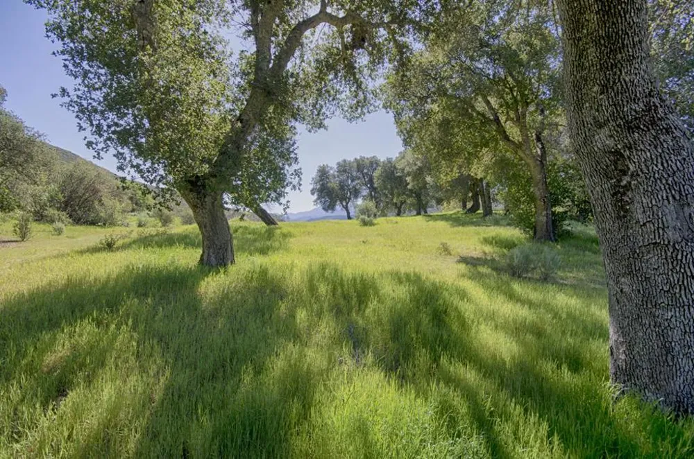 43515 Carmel Valley Road Greenfield, CA 93927