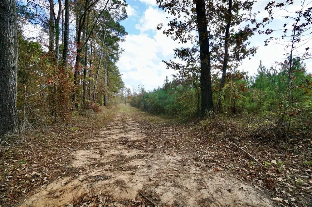 160 Highway Benton, LA 71006