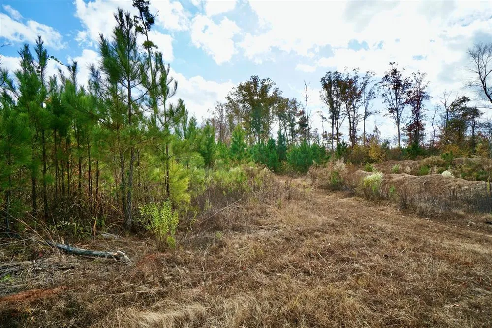 160 Highway Benton, LA 71006