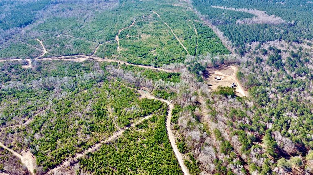 160 Highway Benton, LA 71006