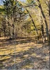 8000 County Road 301 Terrell, TX 75160