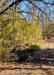8000 County Road 301 Terrell, TX 75160