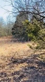 8000 County Road 301 Terrell, TX 75160