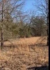 8000 County Road 301 Terrell, TX 75160