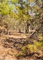 8000 County Road 301 Terrell, TX 75160