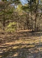 8000 County Road 301 Terrell, TX 75160