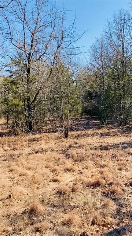 8000 County Road 301 Terrell, TX 75160