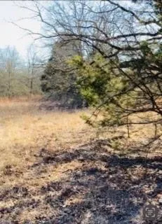 8000 County Road 301 Terrell, TX 75160