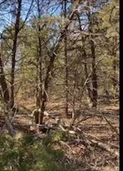 8000 County Road 301 Terrell, TX 75160