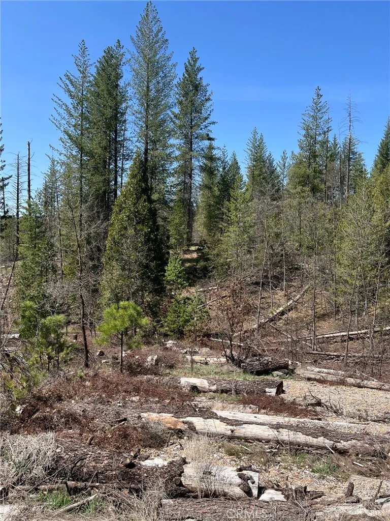 6493 Greeley Hill Road Coulterville, CA 95311