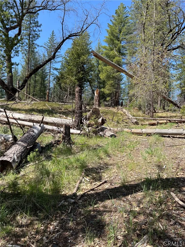 6493 Greeley Hill Road Coulterville, CA 95311