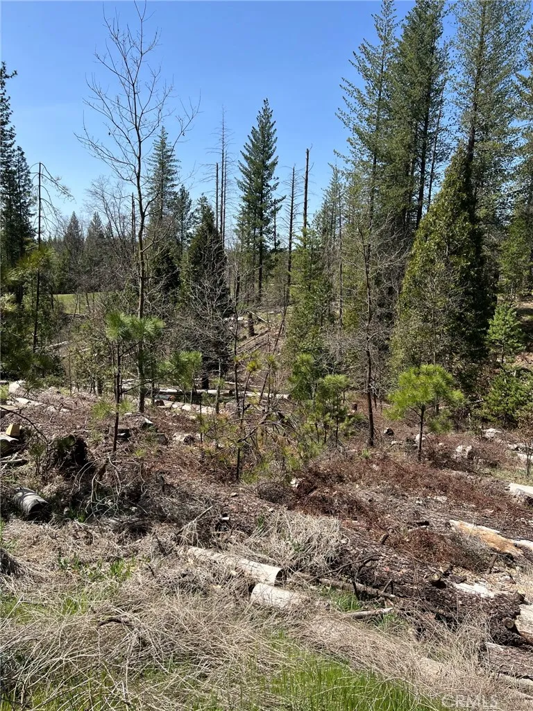 6493 Greeley Hill Road Coulterville, CA 95311