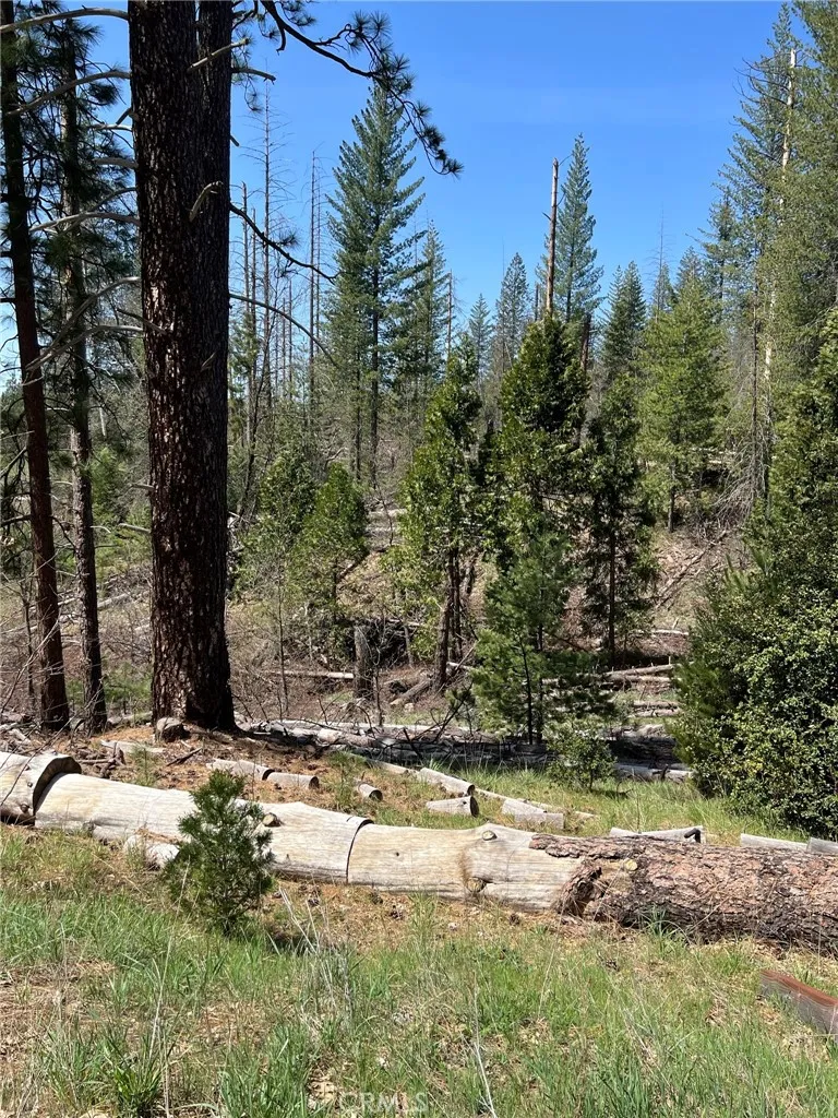 6493 Greeley Hill Road Coulterville, CA 95311