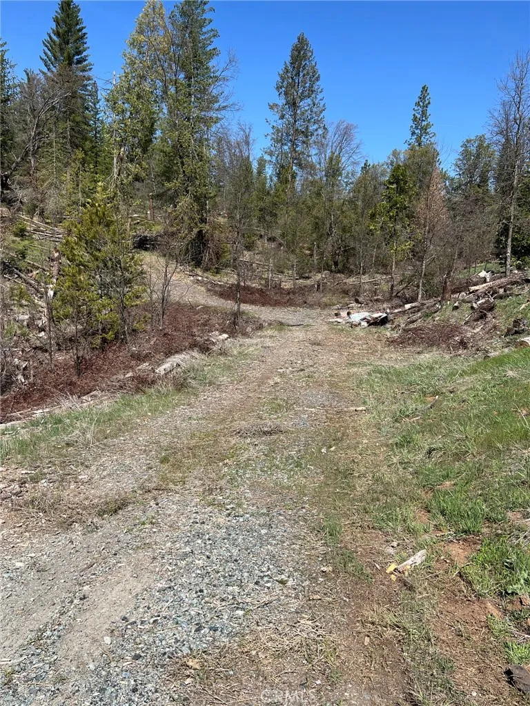 6493 Greeley Hill Road Coulterville, CA 95311