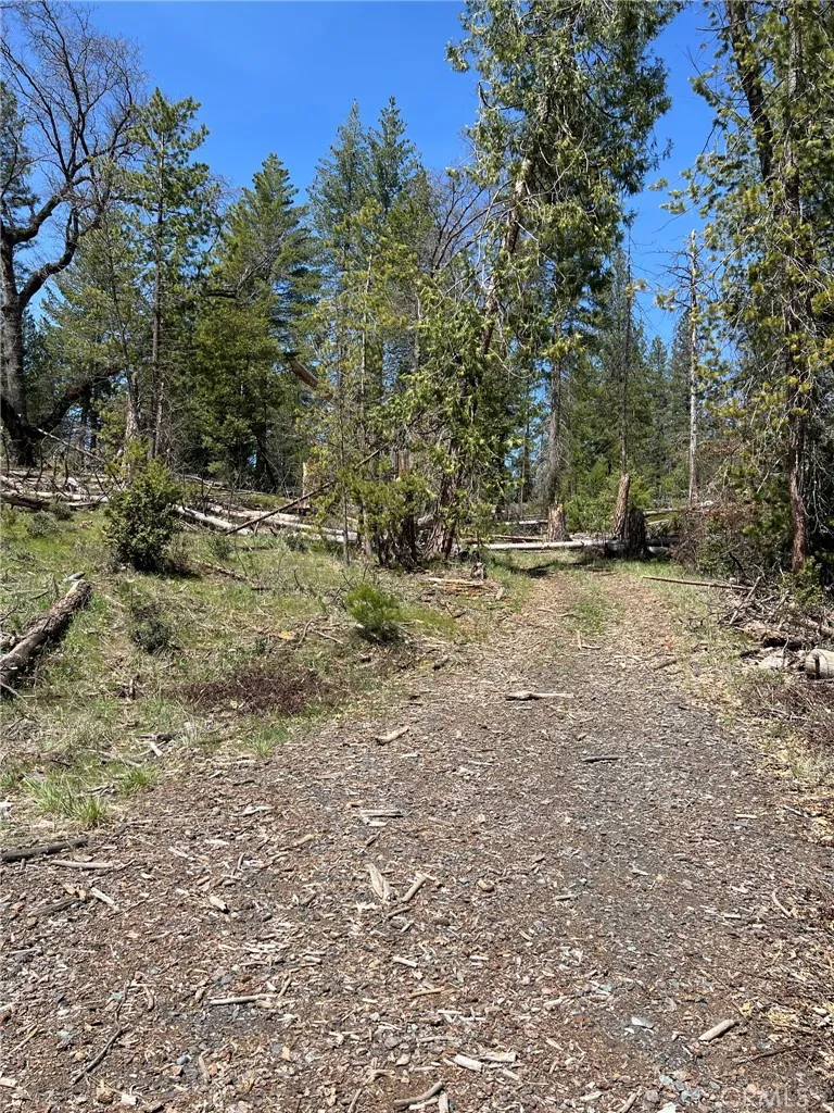 6493 Greeley Hill Road Coulterville, CA 95311
