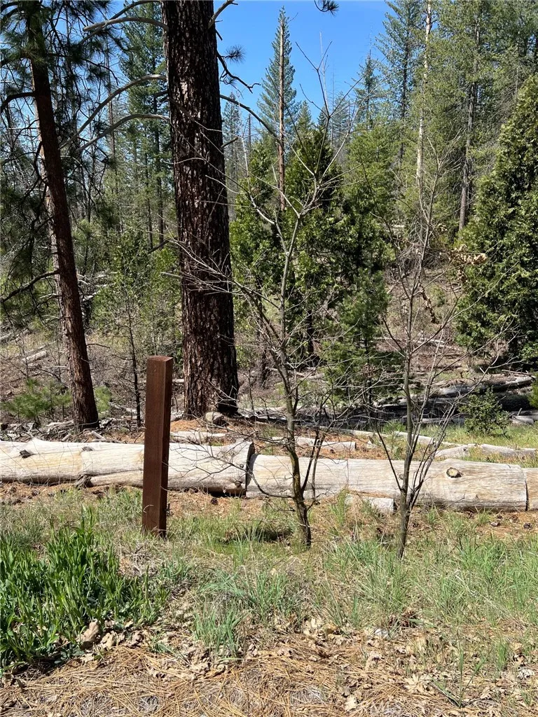 6493 Greeley Hill Road Coulterville, CA 95311