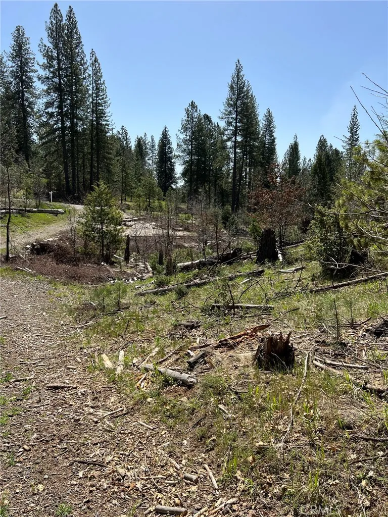 6493 Greeley Hill Road Coulterville, CA 95311