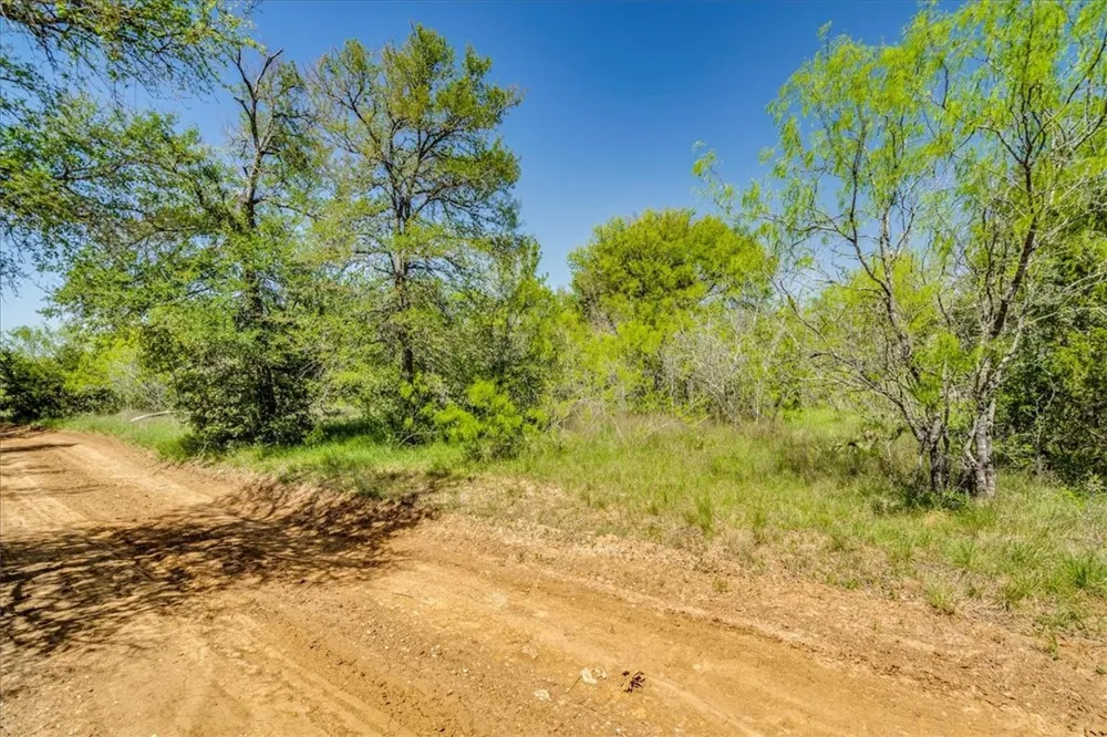497 Mount Pleasant Road #A Cedar Creek, TX 78612