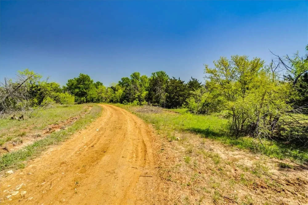 497 Mount Pleasant Road #A Cedar Creek, TX 78612