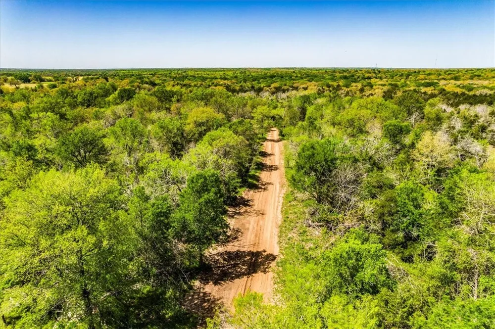497 Mount Pleasant Road #A Cedar Creek, TX 78612