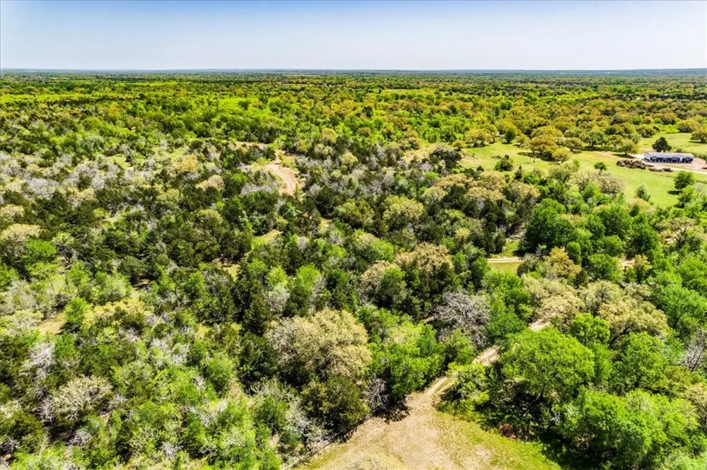 497 Mount Pleasant Road #A Cedar Creek, TX 78612
