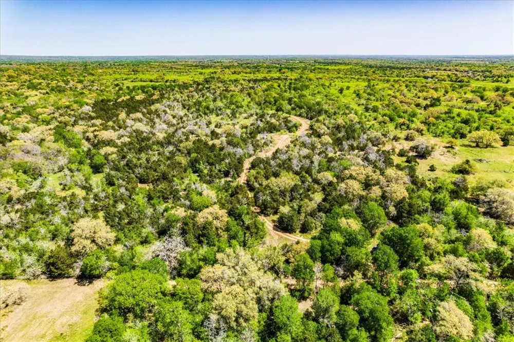 497 Mount Pleasant Road #A Cedar Creek, TX 78612