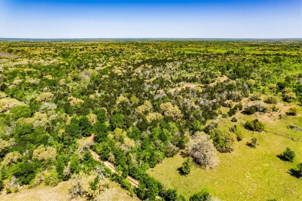 497 Mount Pleasant Road #A Cedar Creek, TX 78612