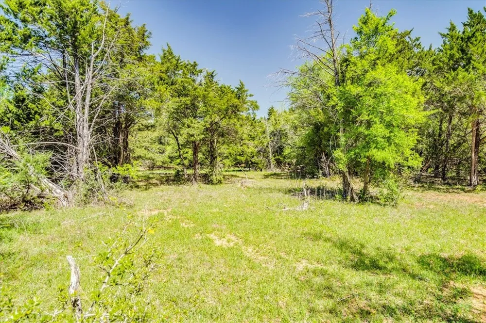 497 Mount Pleasant Road #A Cedar Creek, TX 78612