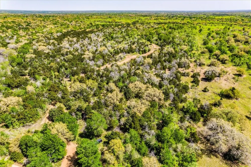 497 Mount Pleasant Road #A Cedar Creek, TX 78612