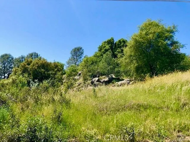 Dome Drive Coarsegold, CA 93614