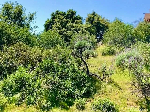 Dome Drive Coarsegold, CA 93614