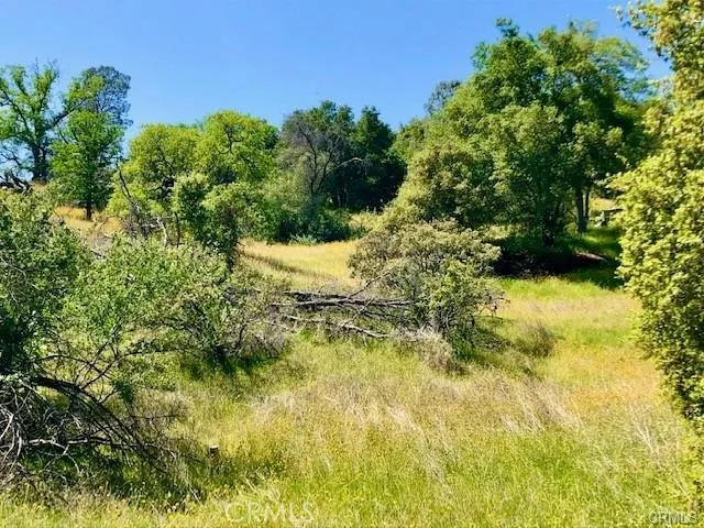 Dome Drive Coarsegold, CA 93614