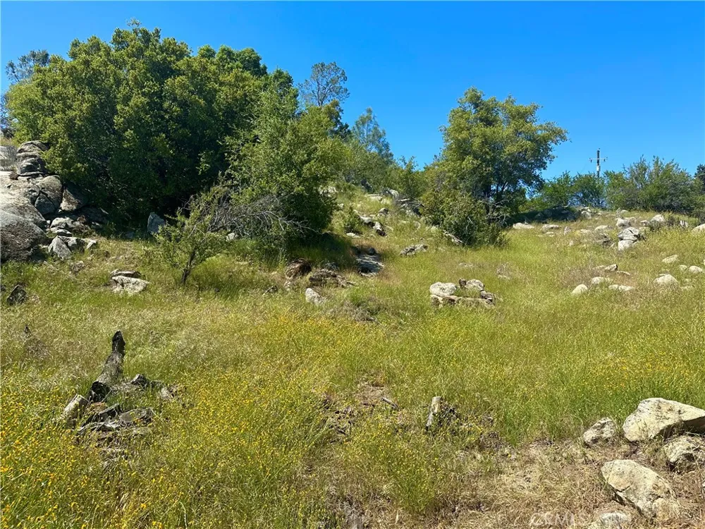 Dome Drive Coarsegold, CA 93614