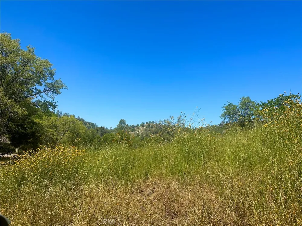 Dome Drive Coarsegold, CA 93614