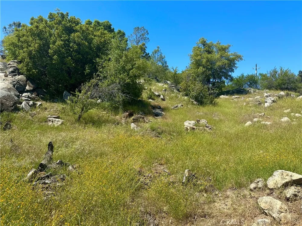 Dome Drive Coarsegold, CA 93614