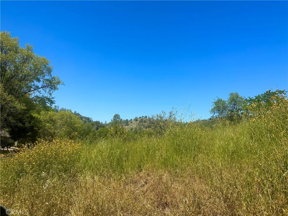 Dome Drive Coarsegold, CA 93614