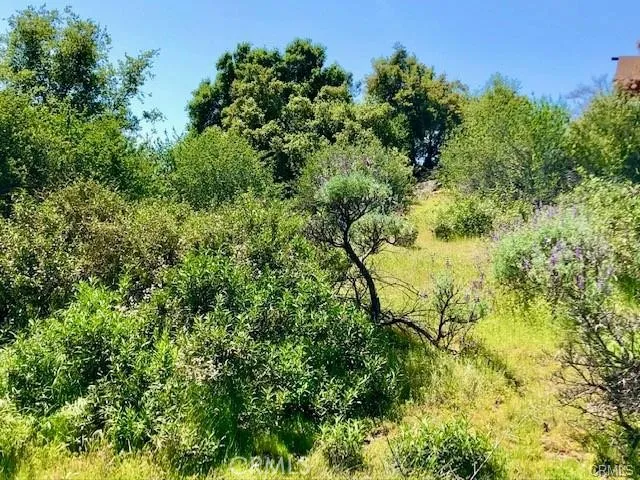 Dome Drive Coarsegold, CA 93614
