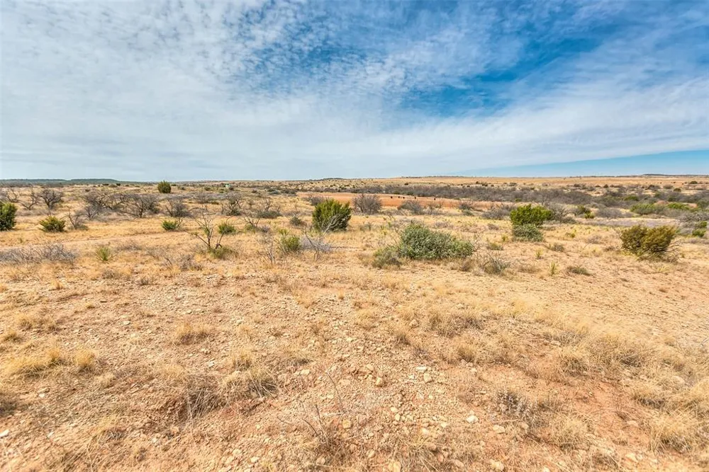 12487 CR 4102 Hermleigh, TX 79526