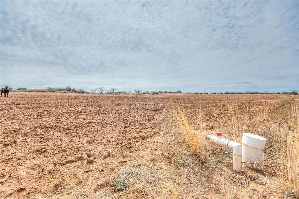 12487 CR 4102 Hermleigh, TX 79526