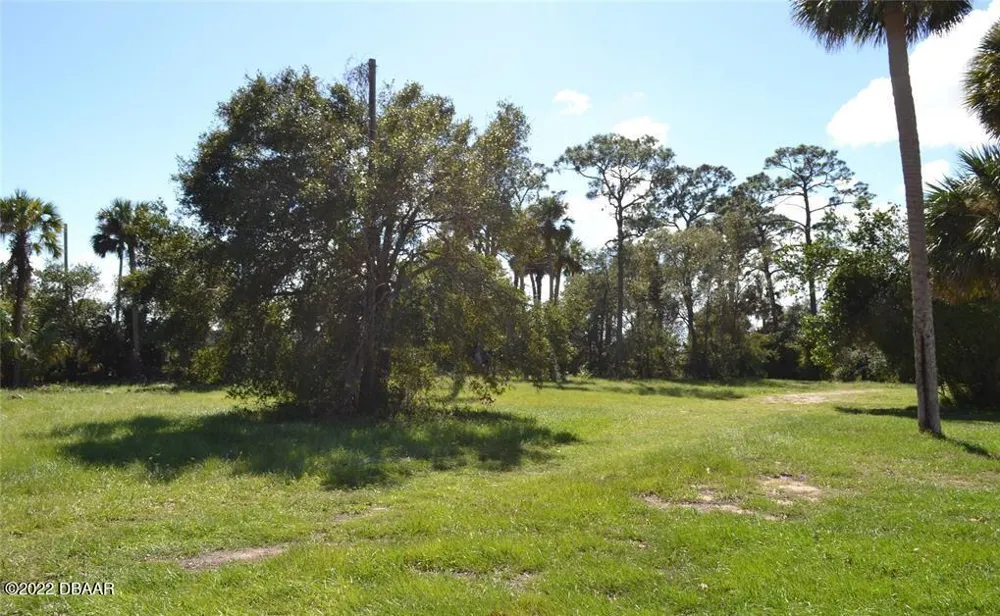 206 S Ridgewood Avenue Edgewater, FL 32132